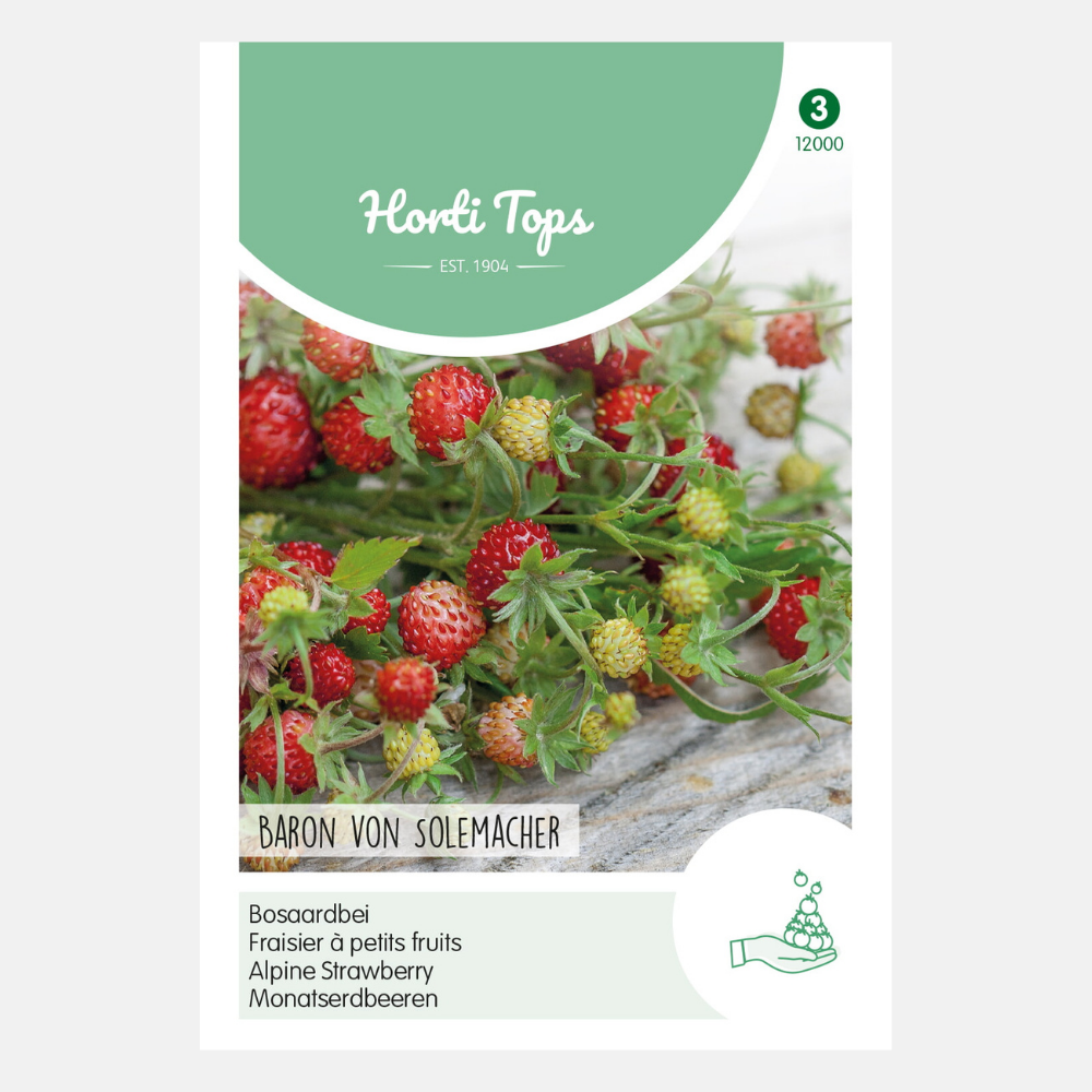 Strawberries 'Baron Van Solemacher'