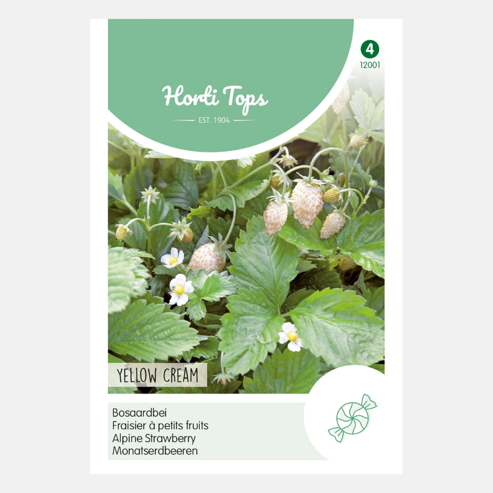 Wild strawberries 'Yellow Cream'