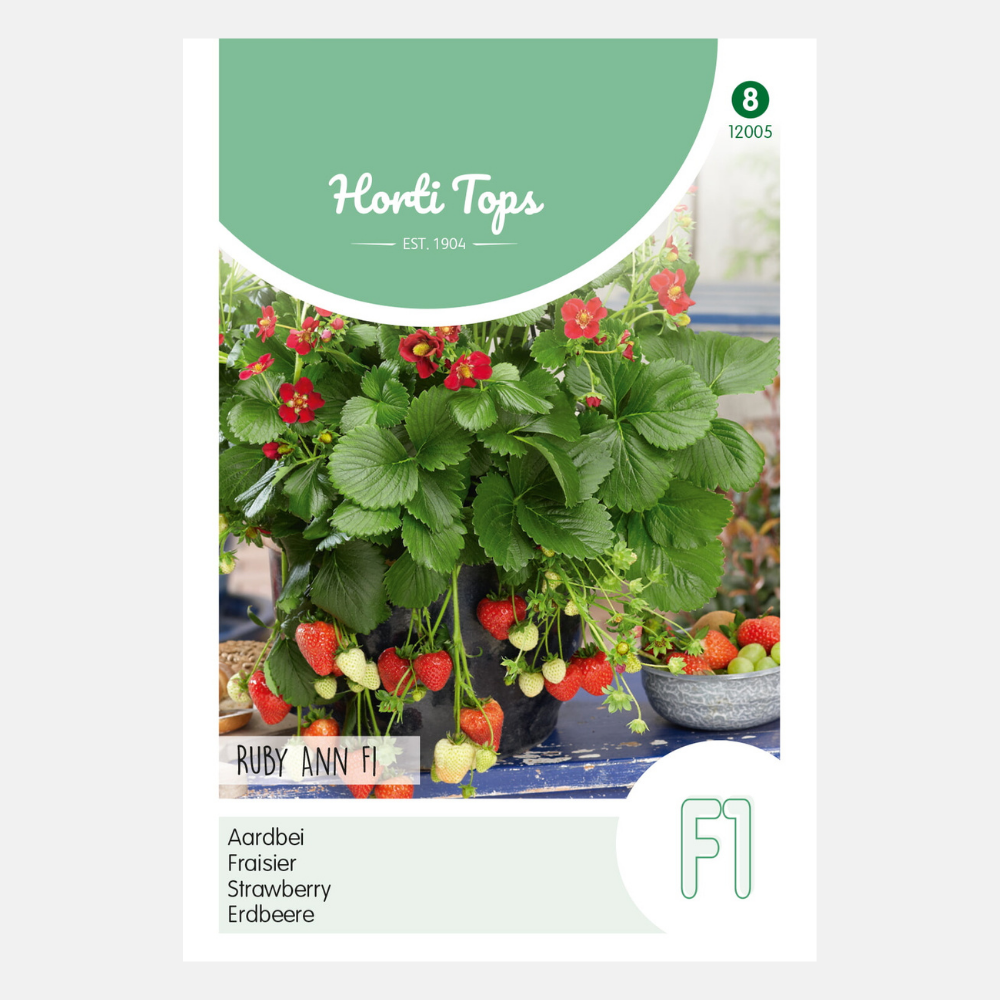 Strawberries 'Ruby Ann' F1 - trailing strawberry