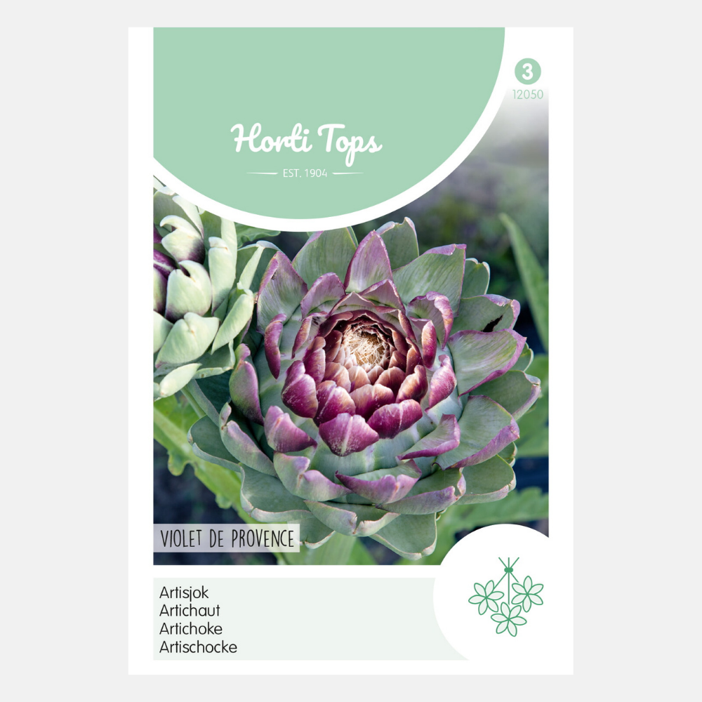 Artichoke 'Violet De Provence'