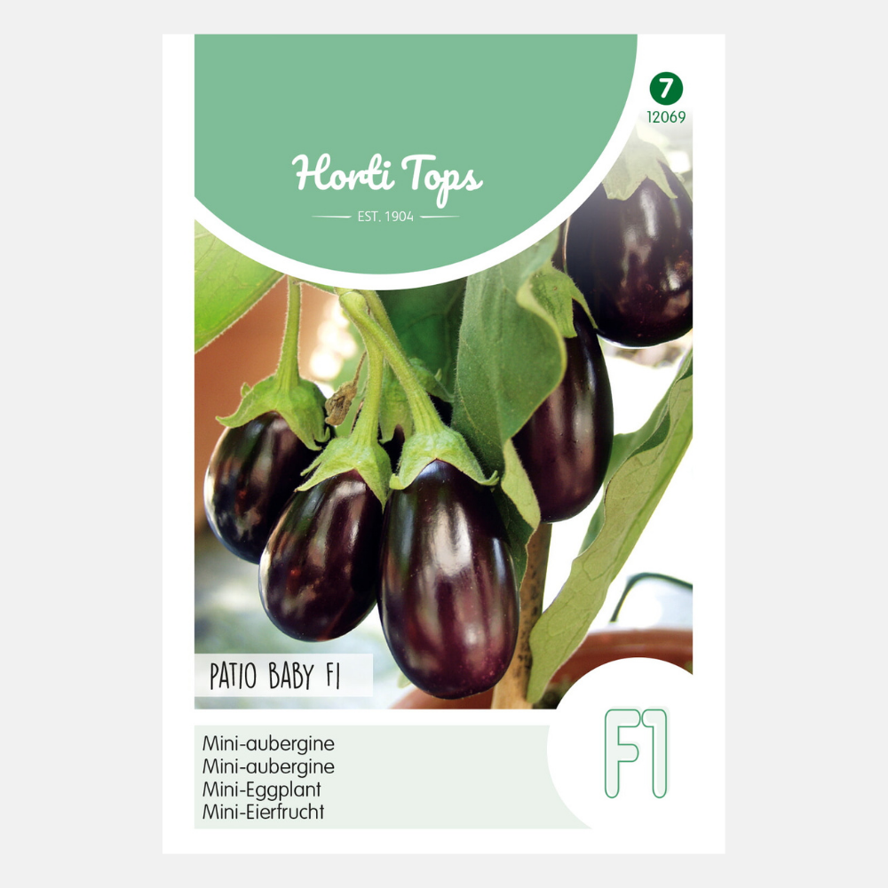 Eggplant 'Patio Baby' F1