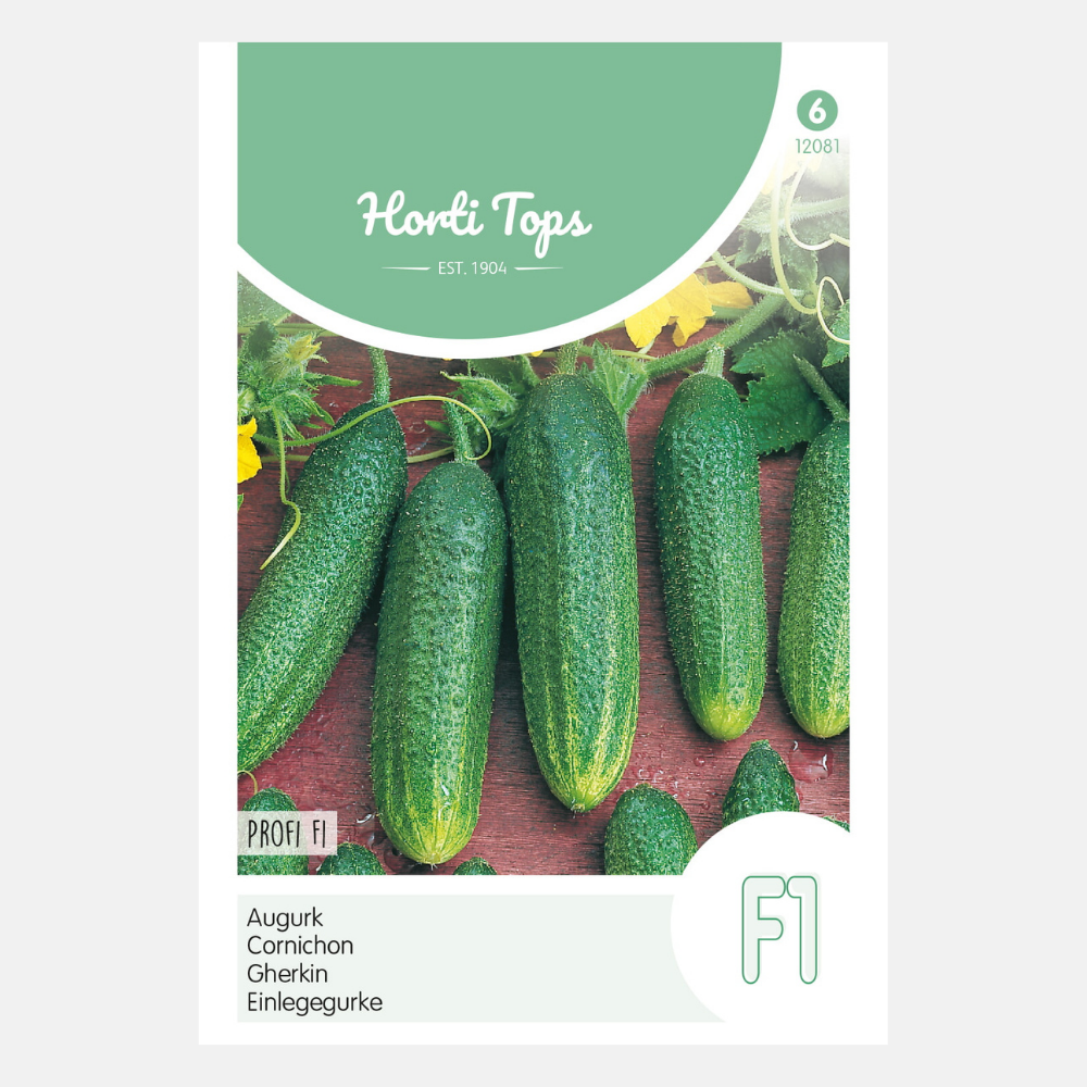Cucumbers 'Profi' F1