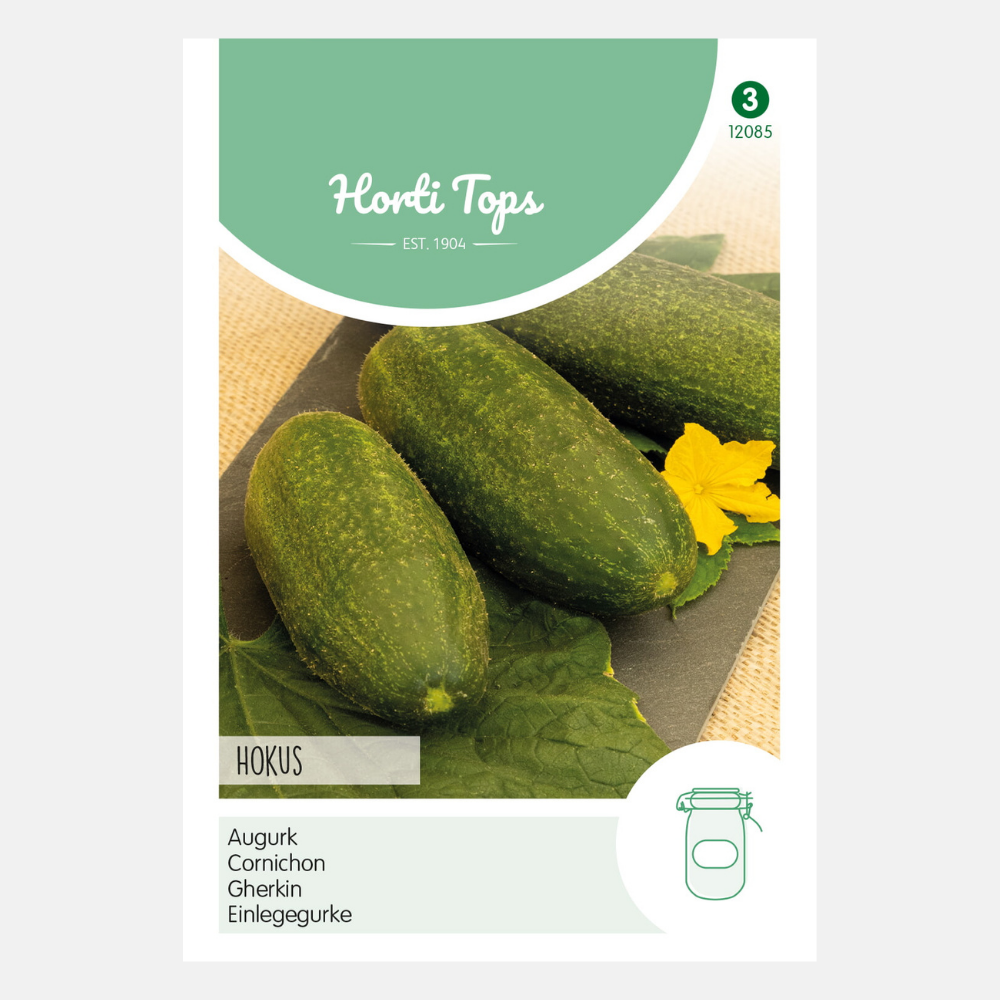 Cucumbers 'Hokus'