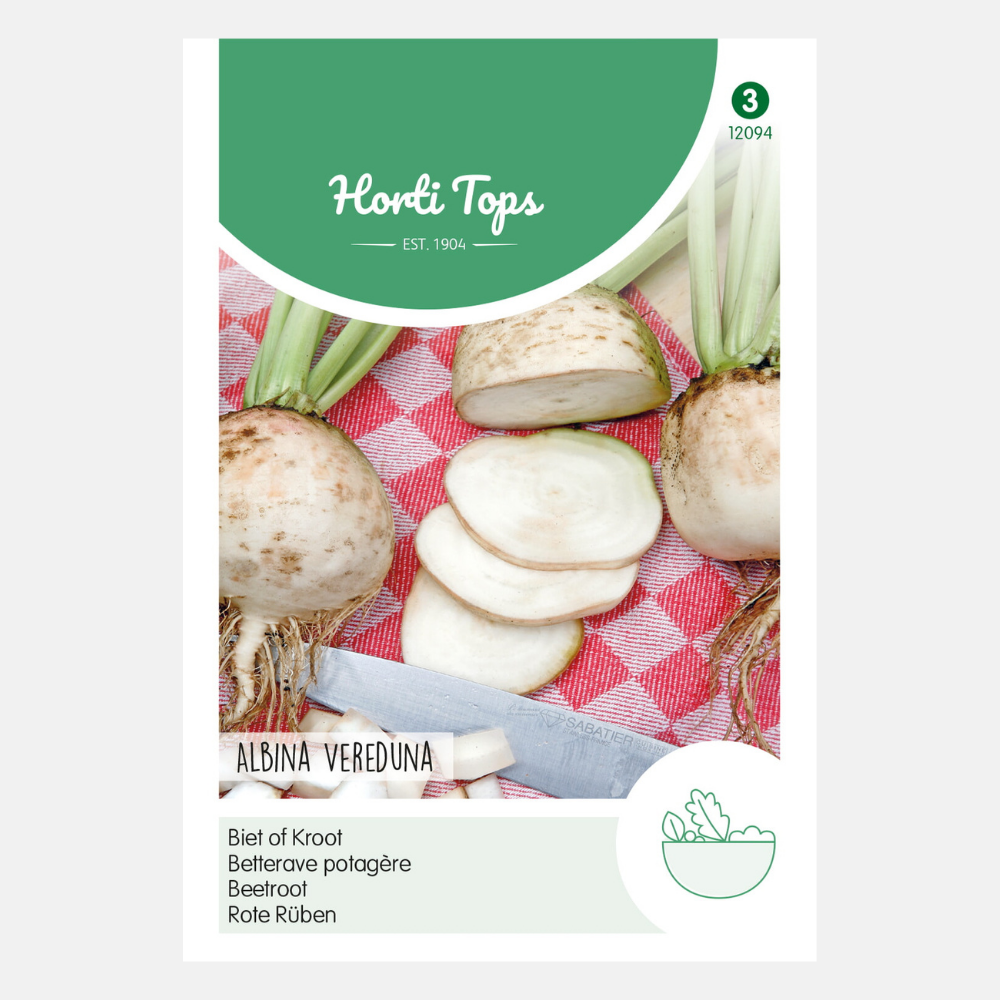 Beetroot 'Albina Vereduna'