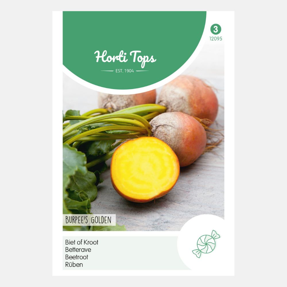 Betteraves 'Burpee's Golden'