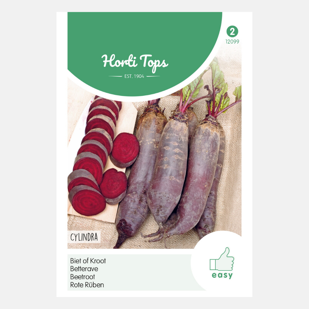 Red Beet 'Cylindra'