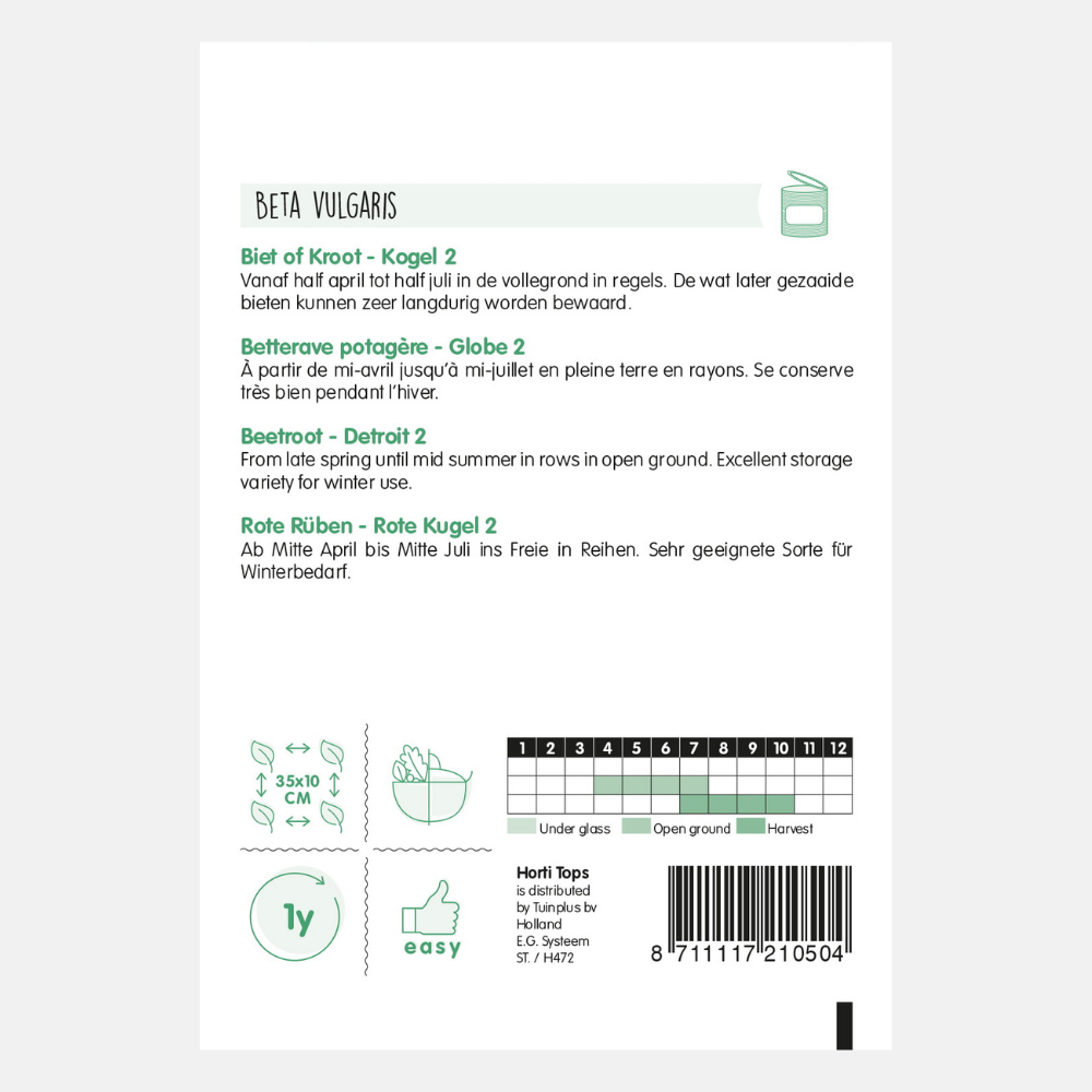 Rode biet 'Detroit 2'