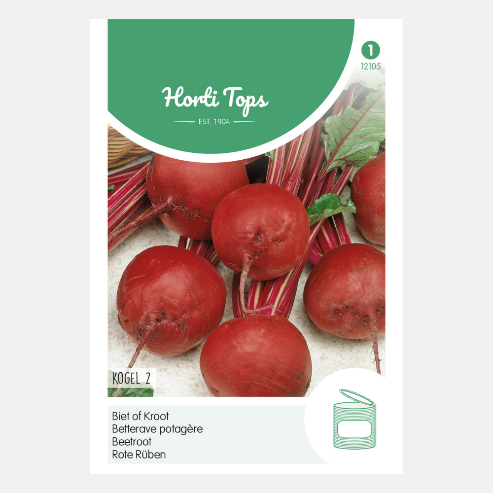 Rode biet 'Detroit 2'