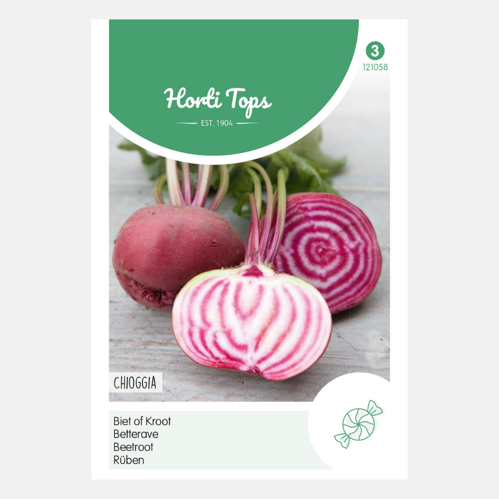 Red Beet 'Chioggia'