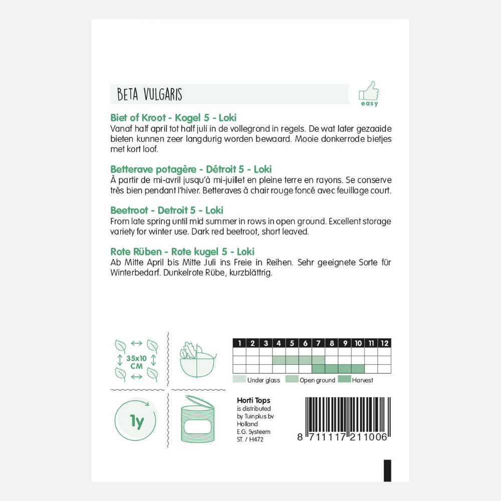 Beets 'Kogel 5'/'Loki'