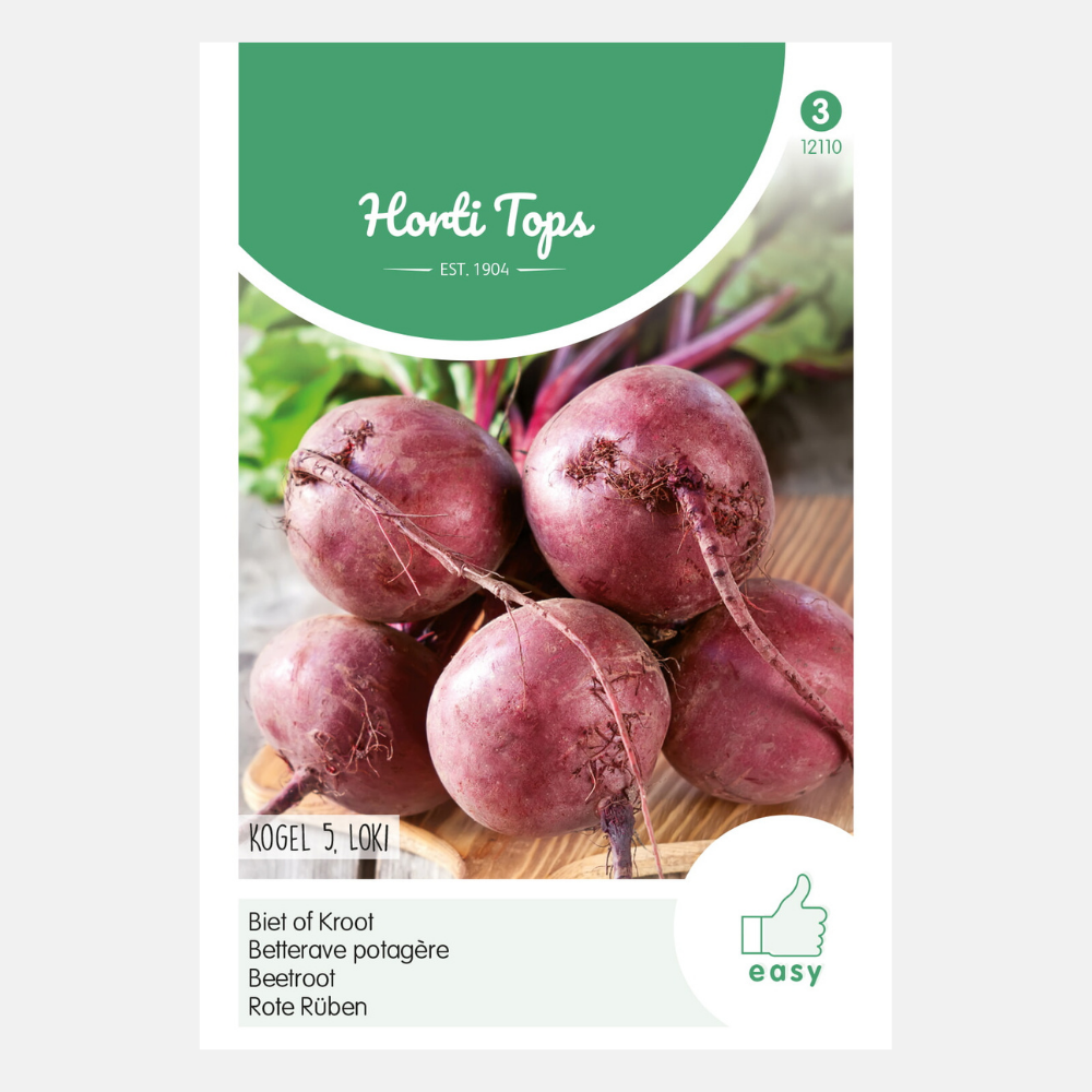 Beets 'Kogel 5'/'Loki'