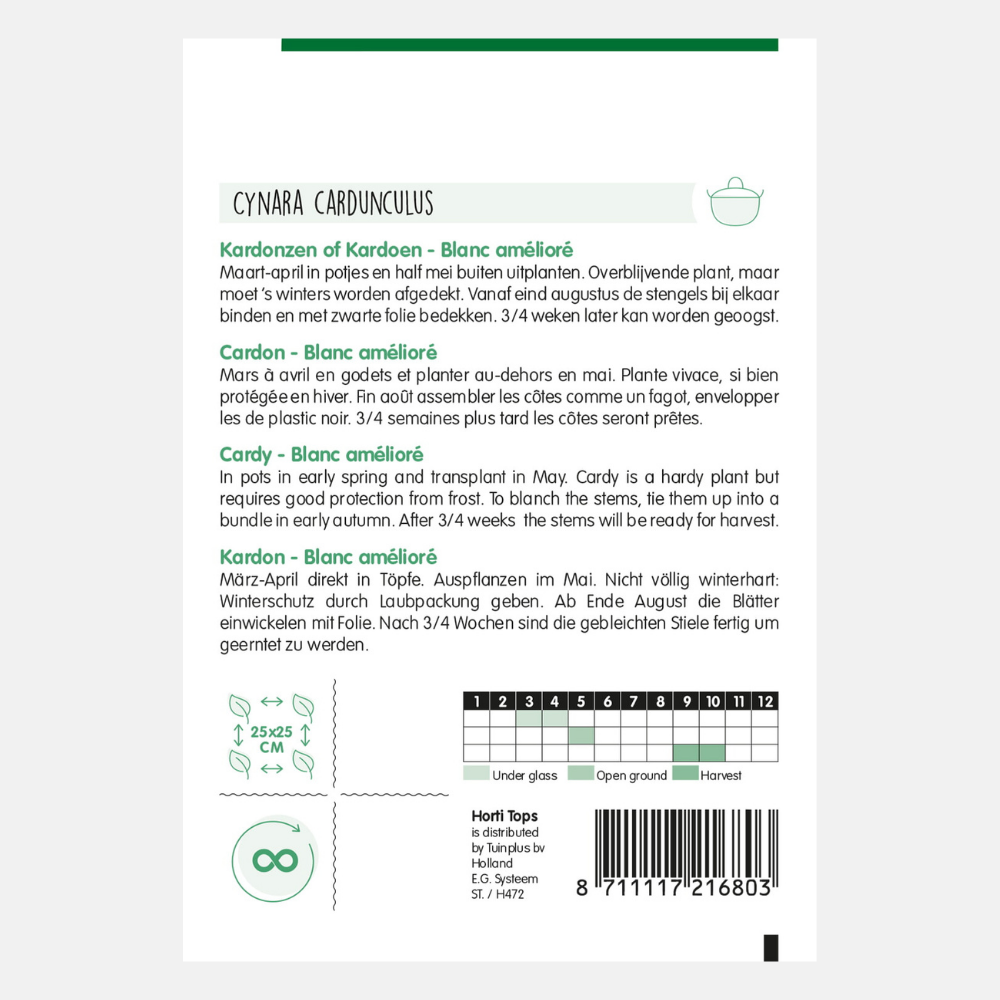 Cardoon 'Blanc Amélioré'