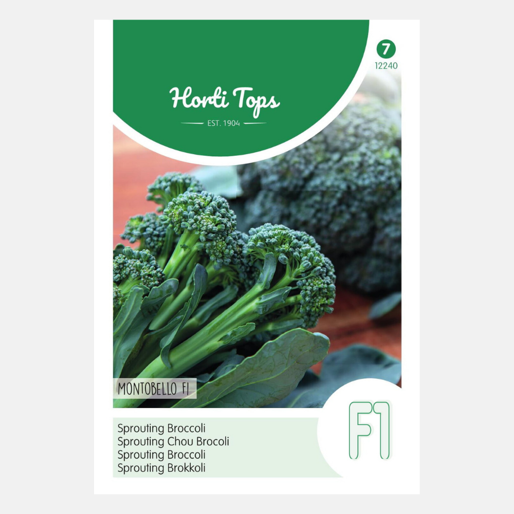 Sprouting Broccoli 'Montobello' F1 - sprouting broccoli