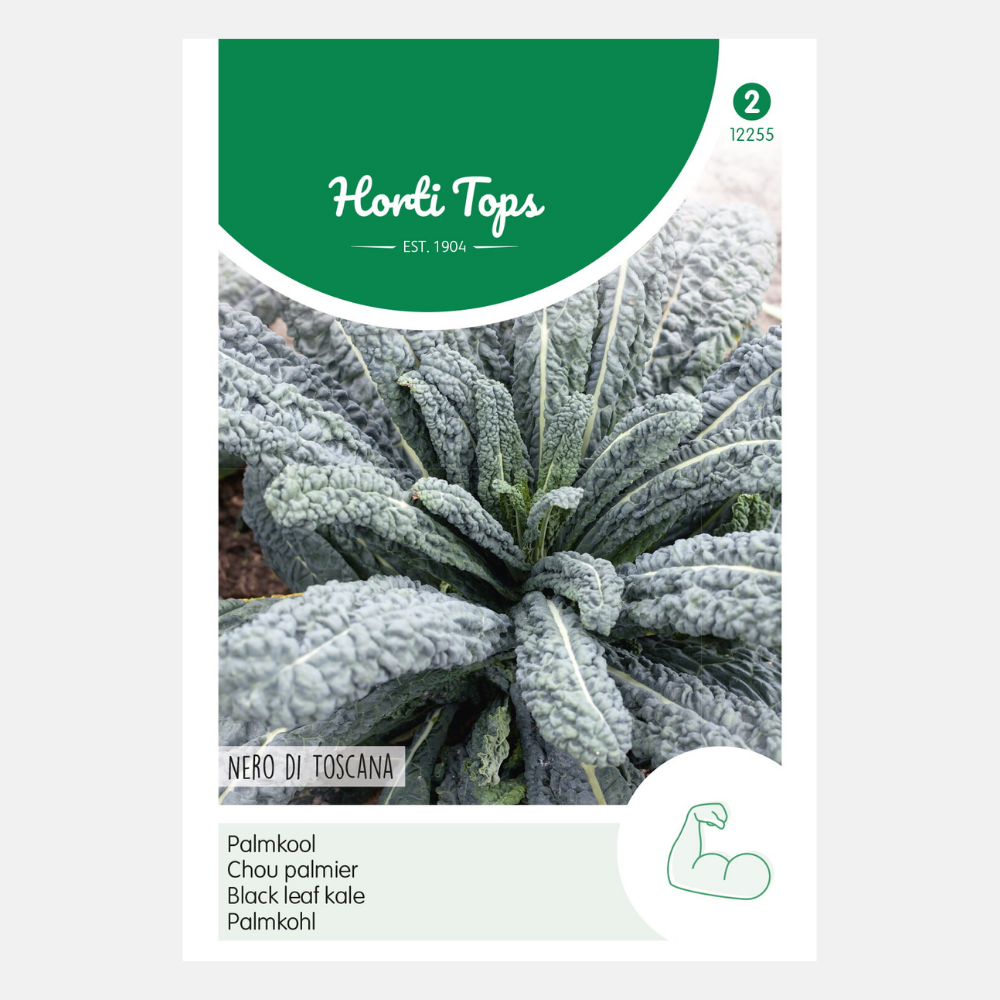 Kale 'Nero di Toscane'