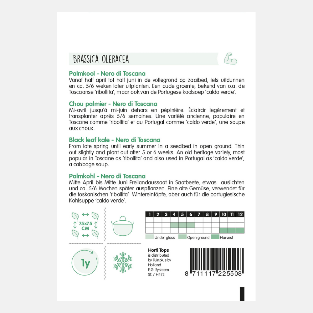 Kale 'Nero di Toscane'