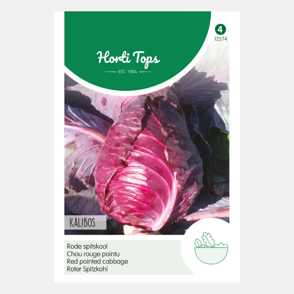 Red pointed cabbage 'Kalibos'