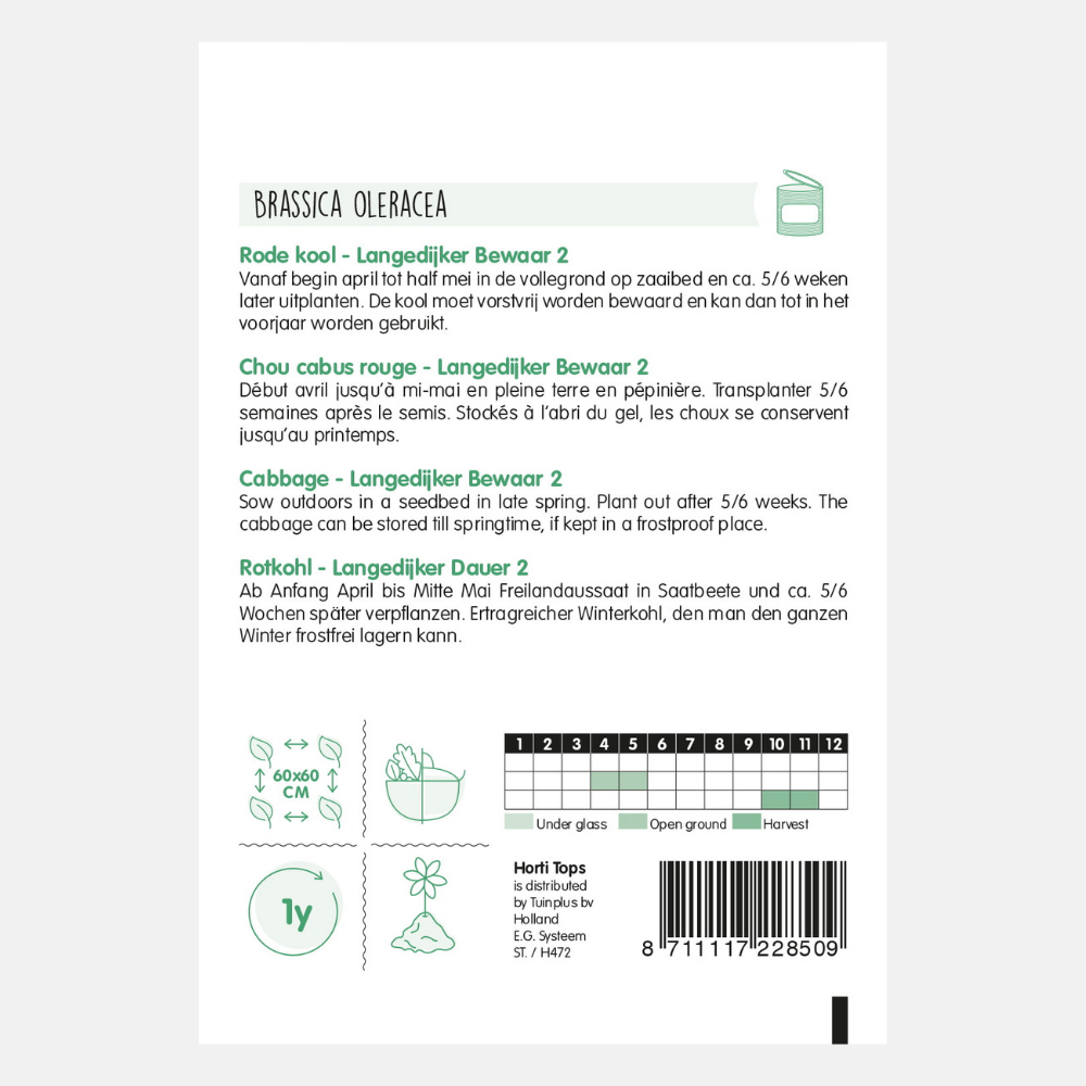 Red cabbage 'Langedijker Bewaar 2'