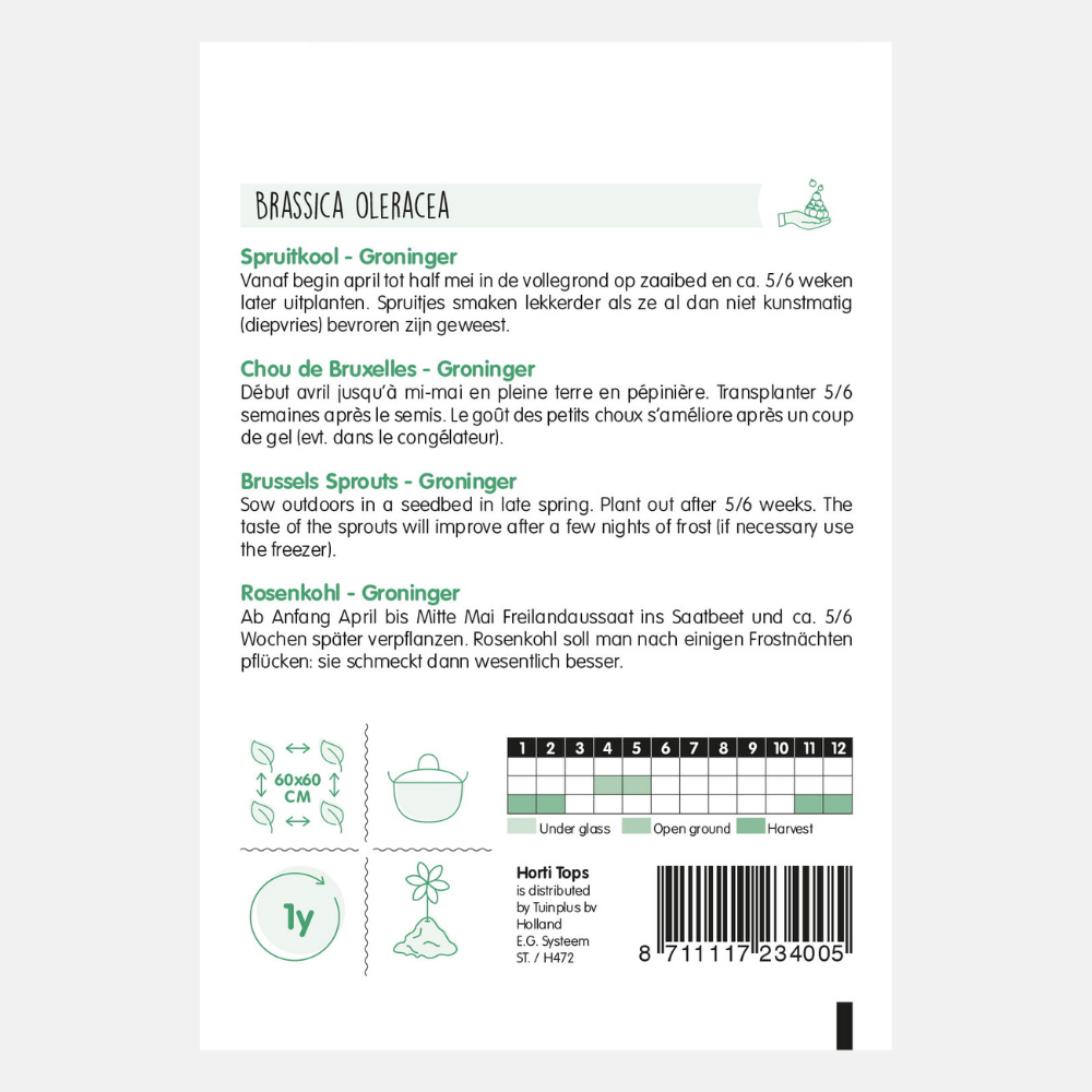 Choux de Bruxelles « Groninger »