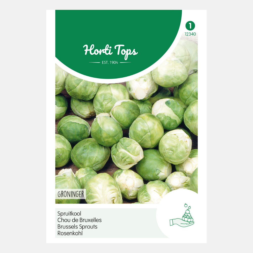 Choux de Bruxelles « Groninger »