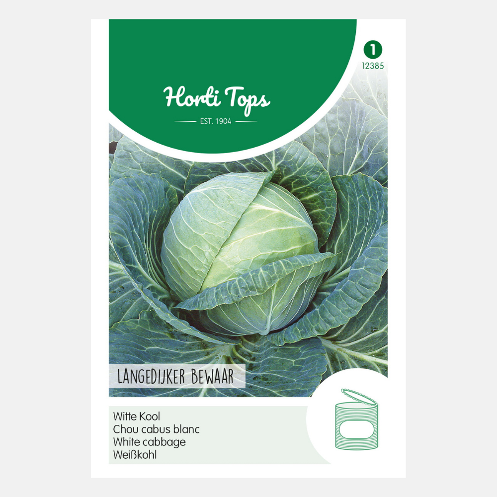 White cabbage 'Langedijker Save'