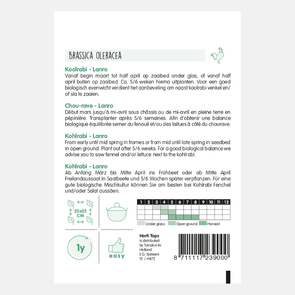 Kohlrabi 'Lanro' - green