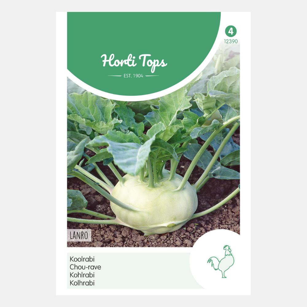 Kohlrabi 'Lanro' - green