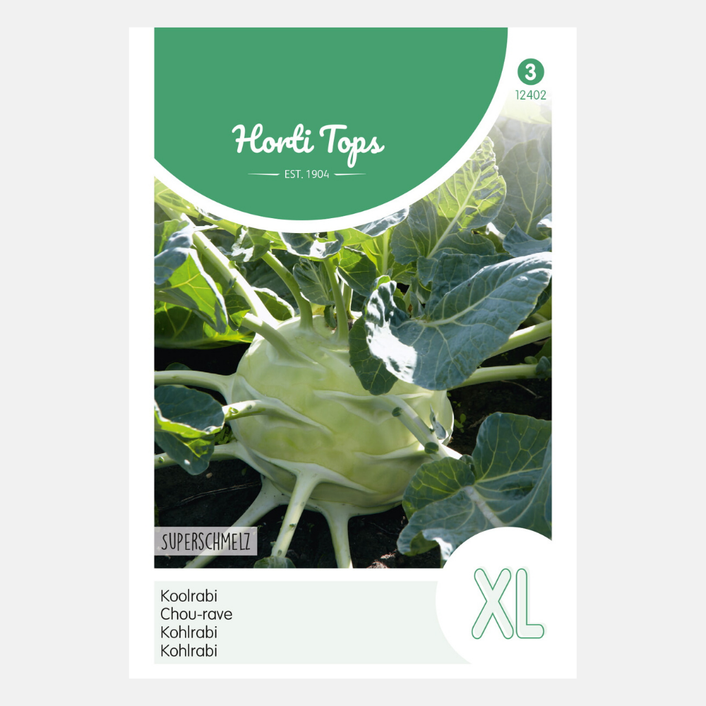 Kohlrabi 'Superschmelz'