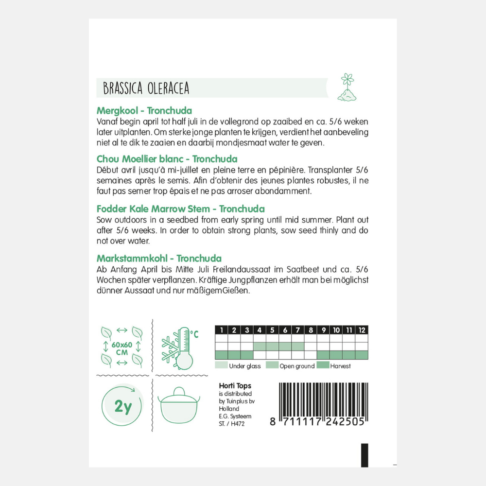 Marrow Cabbage 'Prover'