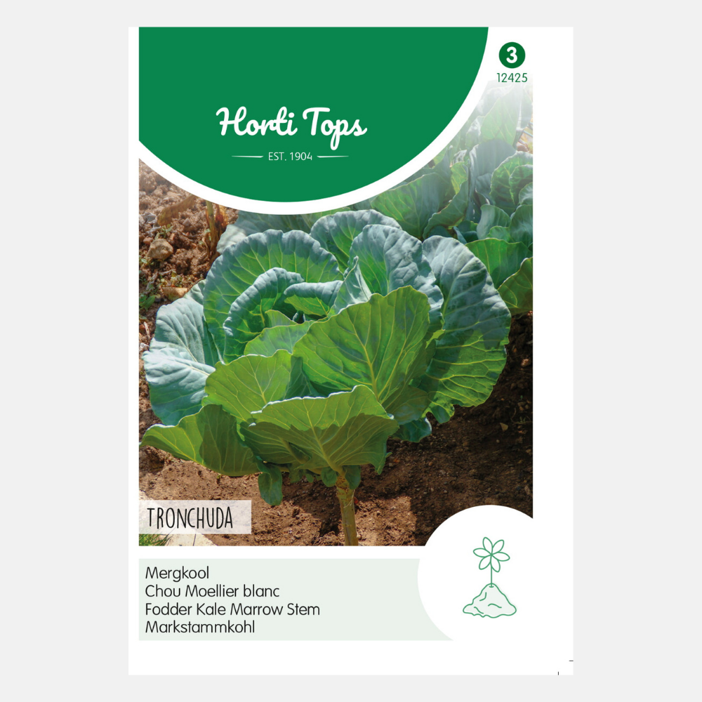 Marrow Cabbage 'Prover'