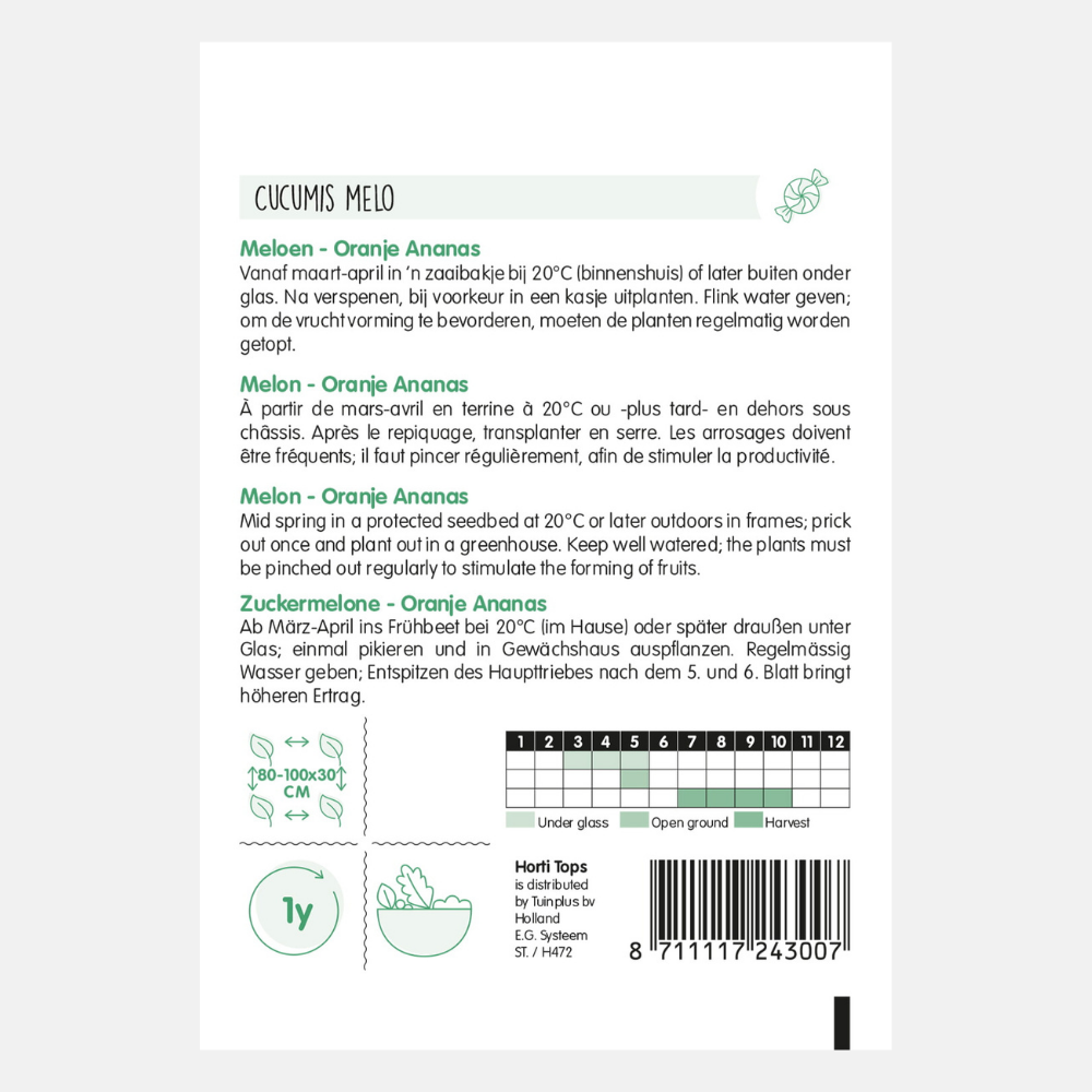 Melon 'Orange Pineapple'