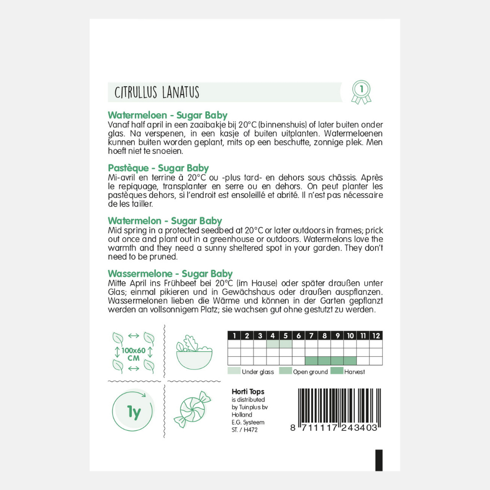 Watermelons 'Sugar Baby'