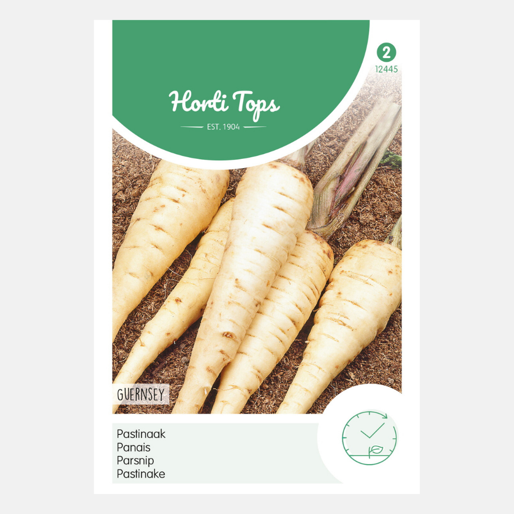 Parsnip 'Guernsey'