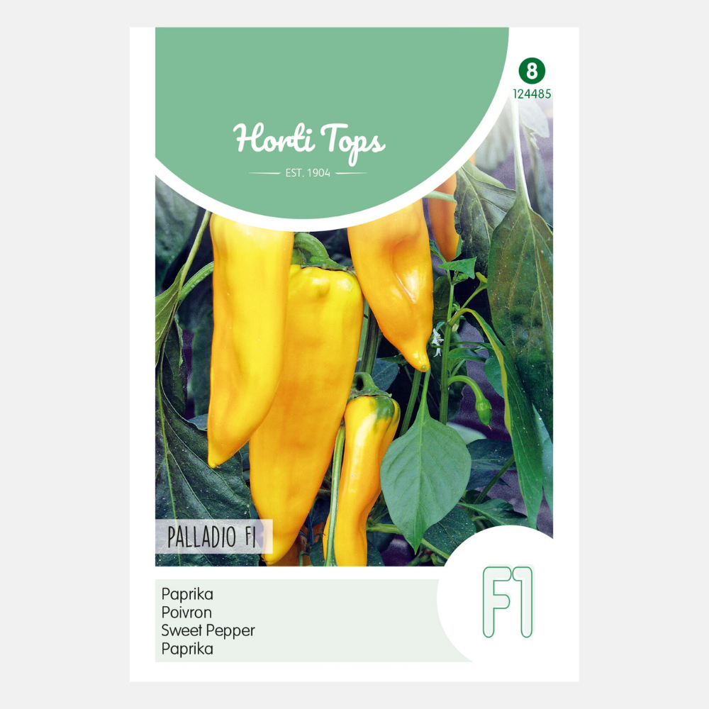 Pepper 'Palladio' F1