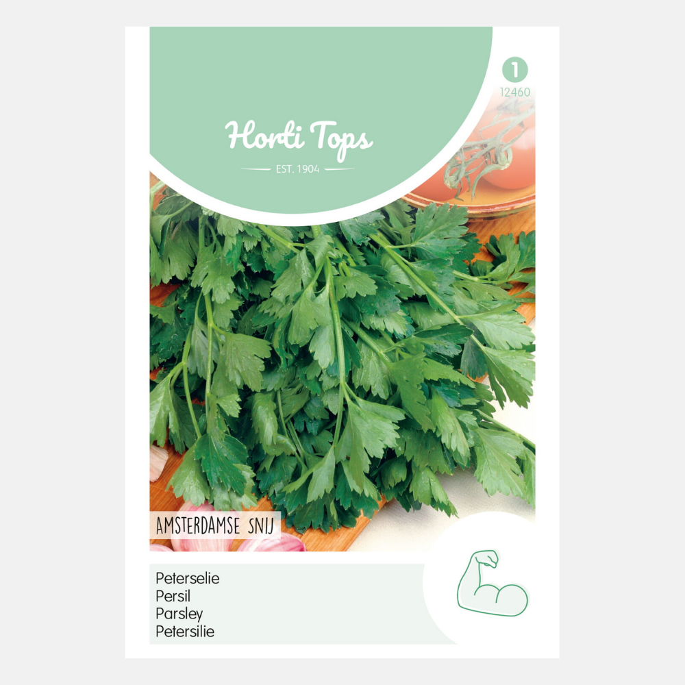 Persil 'Amsterdamse platte' - persil coupé