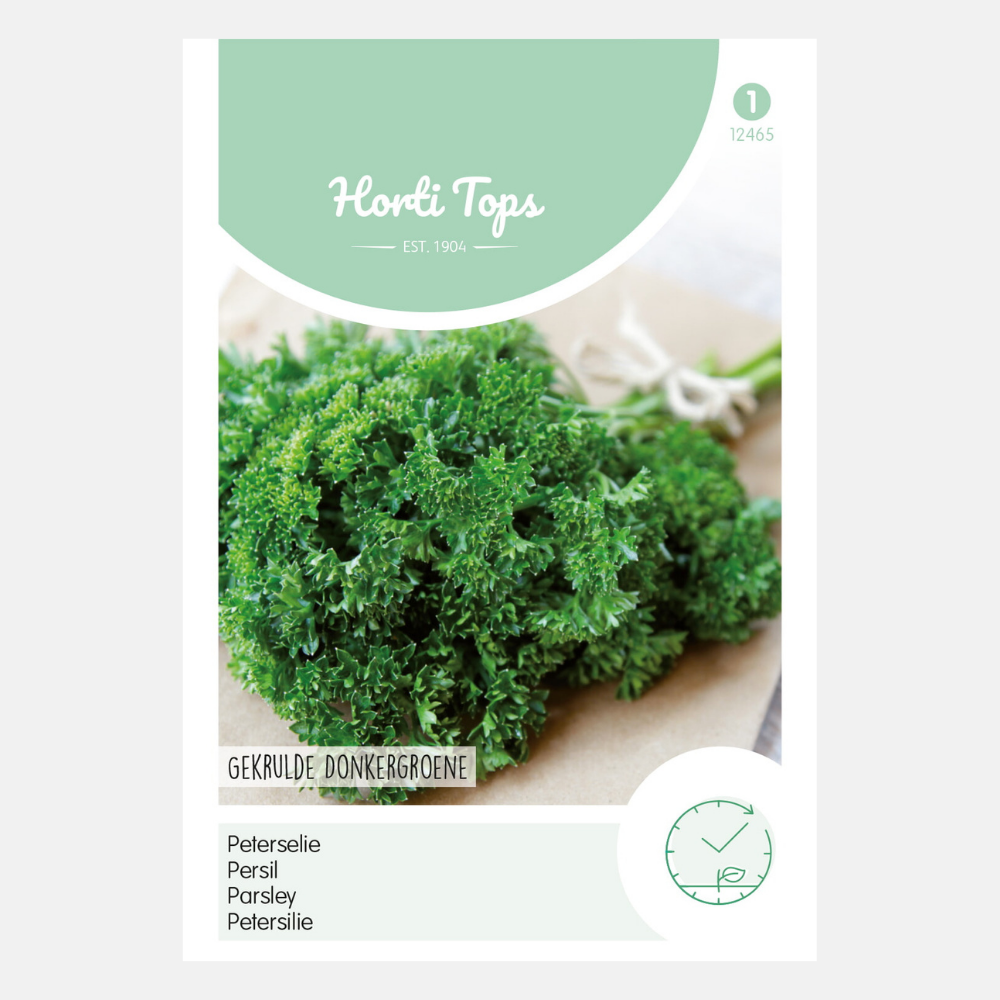 Persil 'Curled Dark Green'