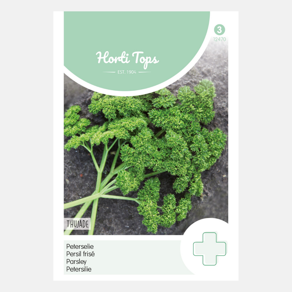 Persil 'Dark green curl'