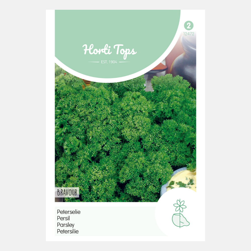 Parsley 'Bravour'