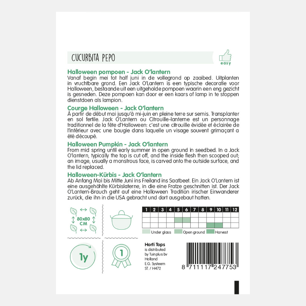 Citrouille 'Jack O'Lantern'