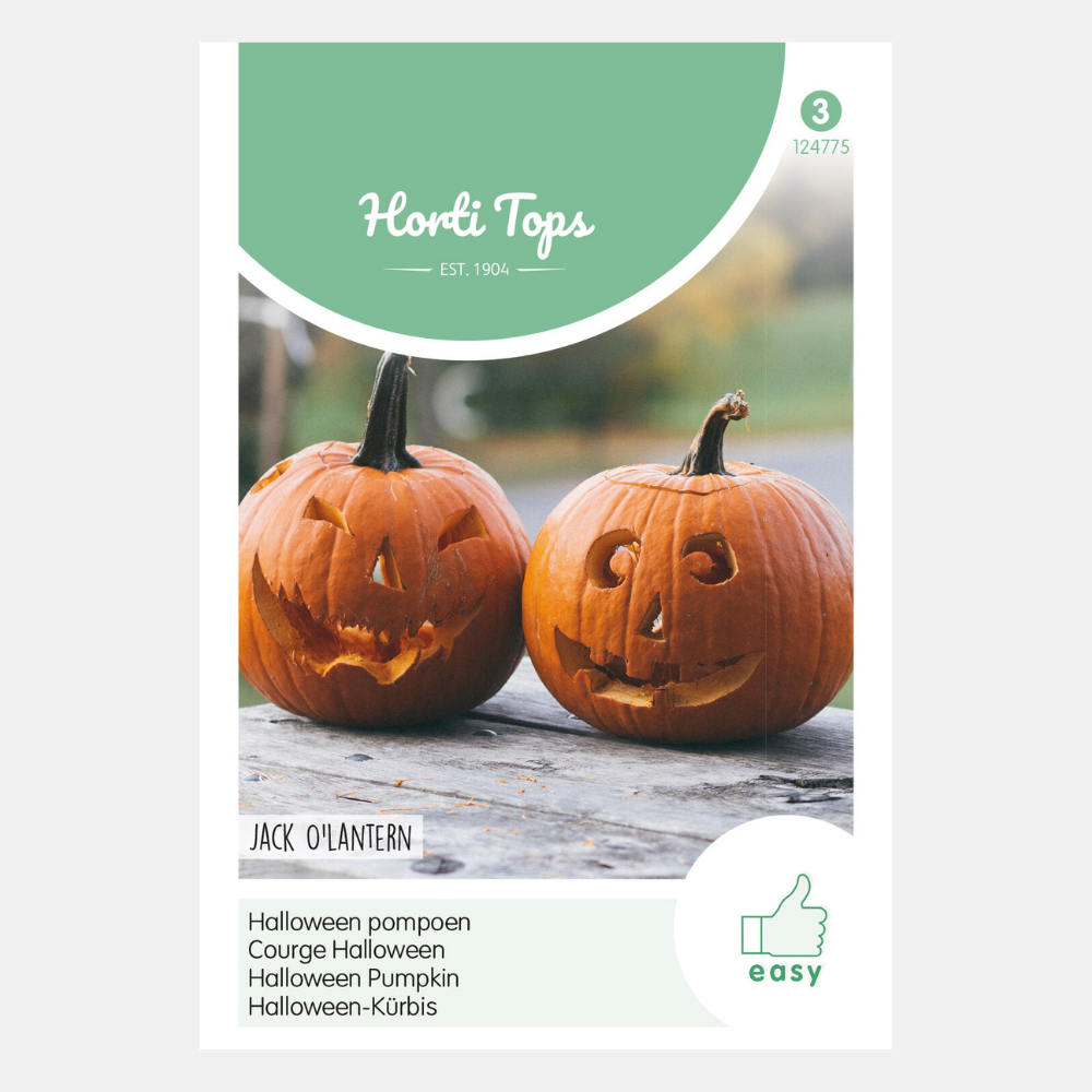 Citrouille 'Jack O'Lantern'