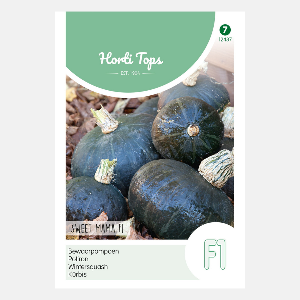 Citrouilles 'Sweet Mama' F1