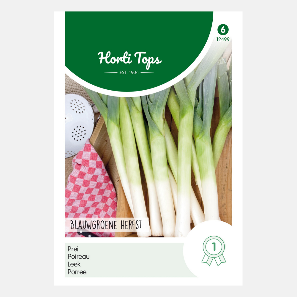 Leek 'Blue-green Autumn - Ideal'