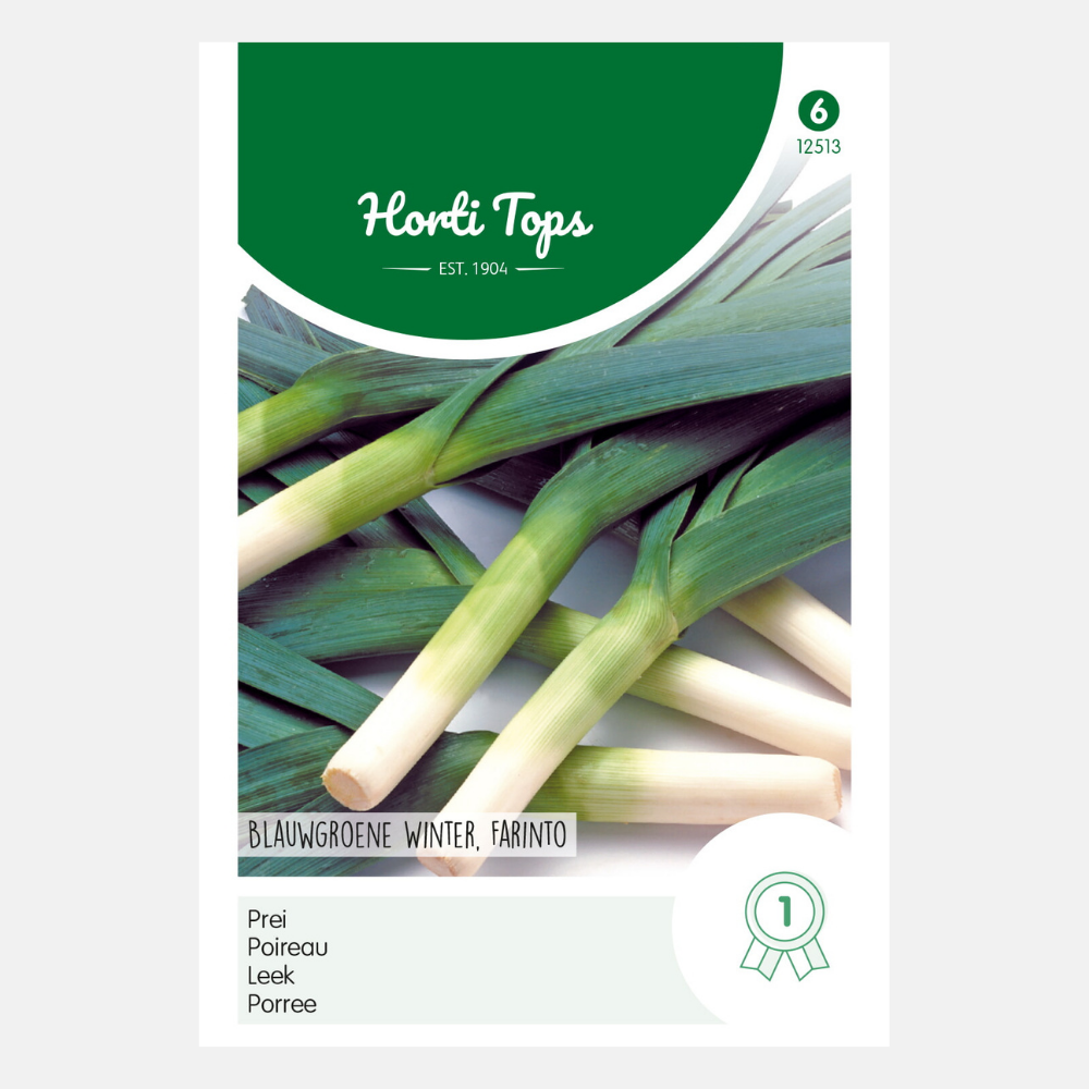 Leek 'Blue-green Winter - Farinto'