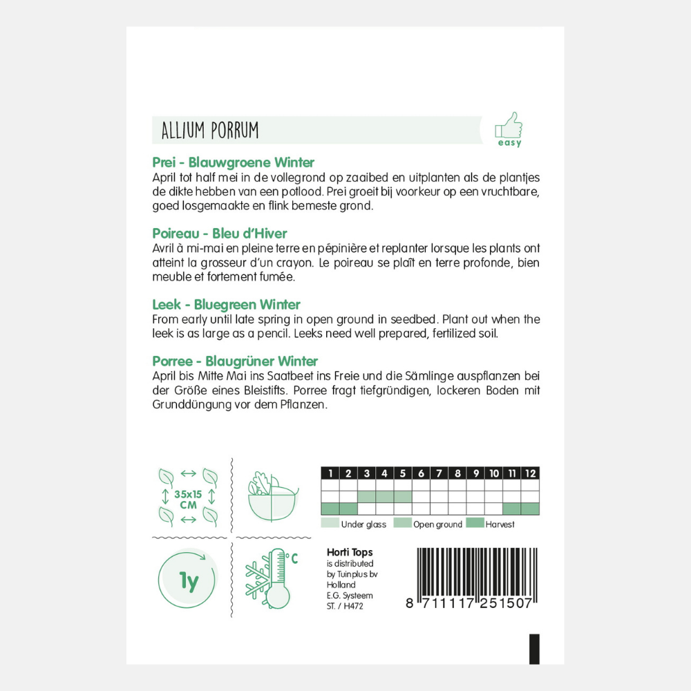 Poireau 'Bleu-vert d'hiver'