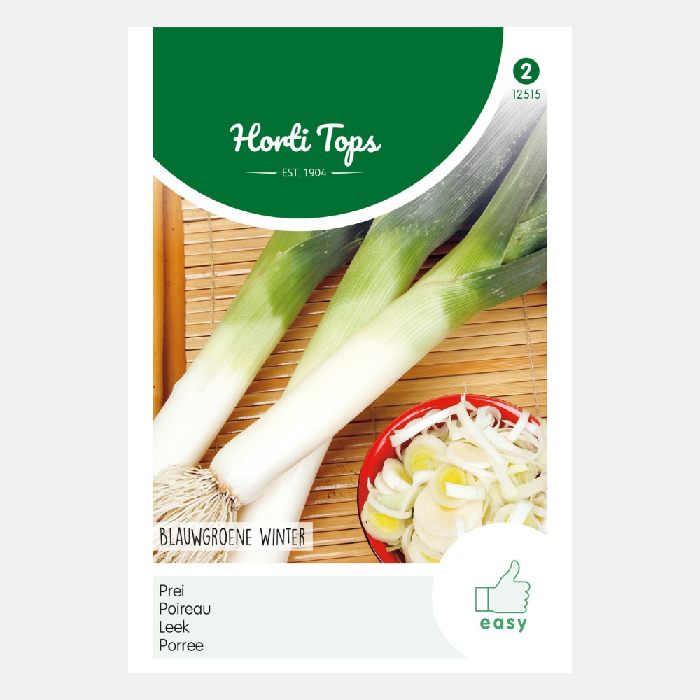 Poireau 'Bleu-vert d'hiver'