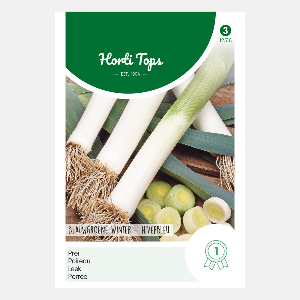 Leek 'Blue-green Winter - Hiverbleu'