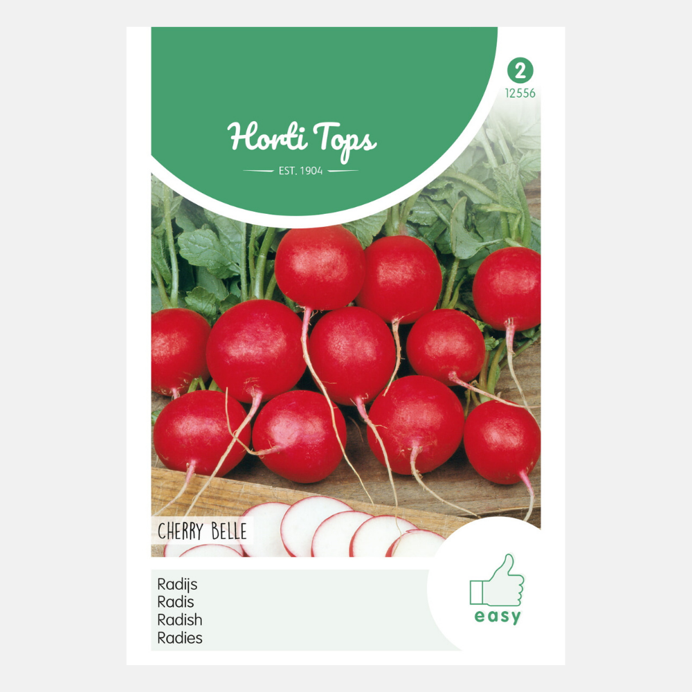 Radish 'Cherry Belle'
