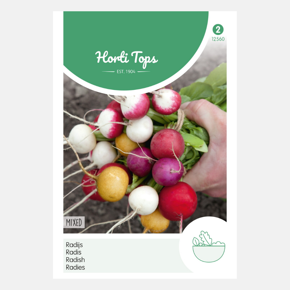 Radish - round mixed