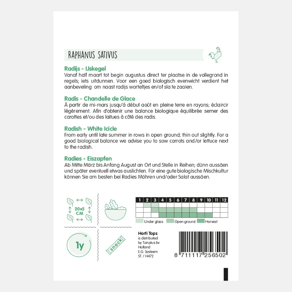 Black radish 'Icicle'/'Long White'