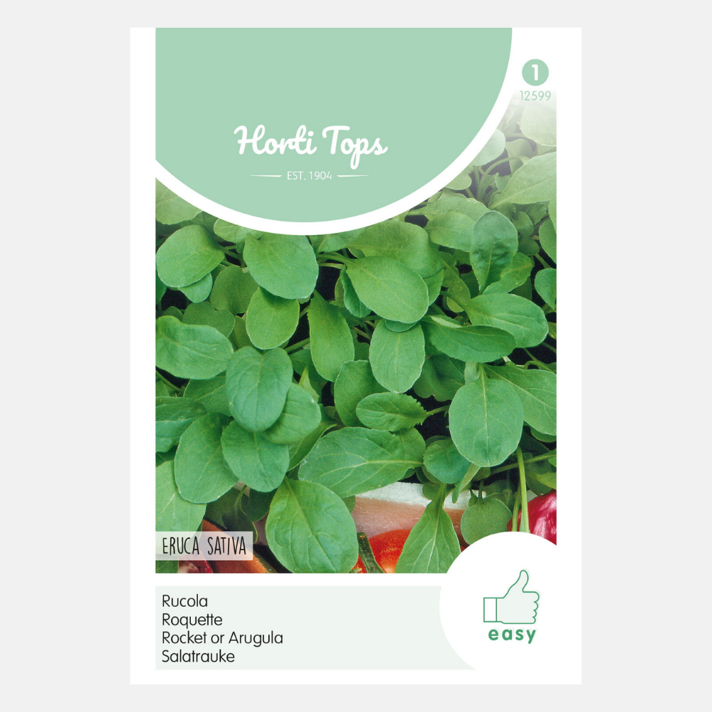 Arugula - Eruca sativa