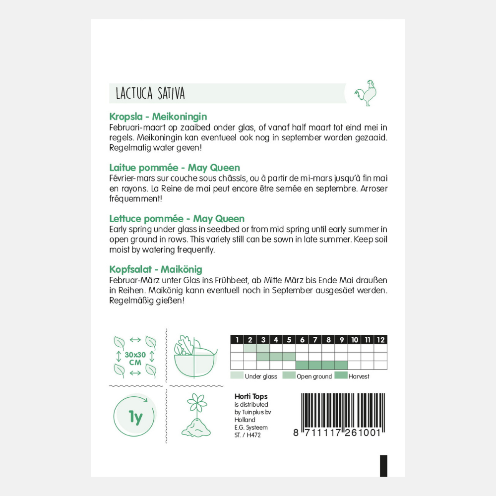 Lettuce 'Meikoningin'